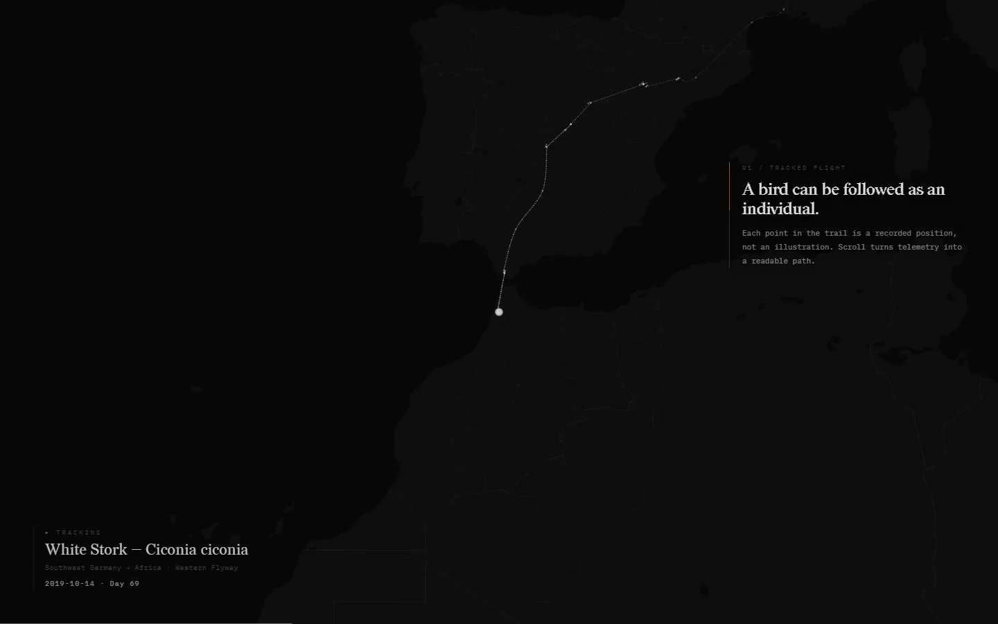 Chapter one: an individual trajectory remains spatially precise.