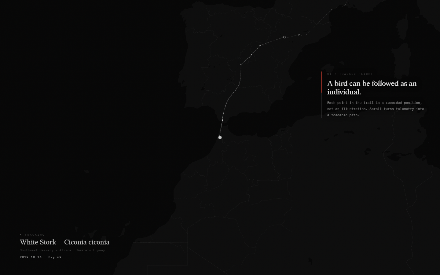 White stork telemetry crossing the Mediterranean chapter map
