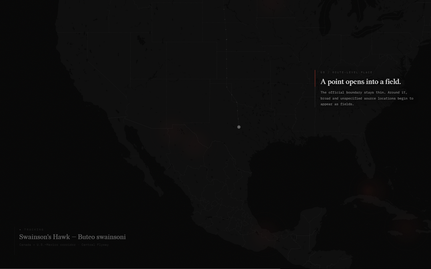 Swainson's hawk trajectory stopping at the U.S.-Mexico corridor